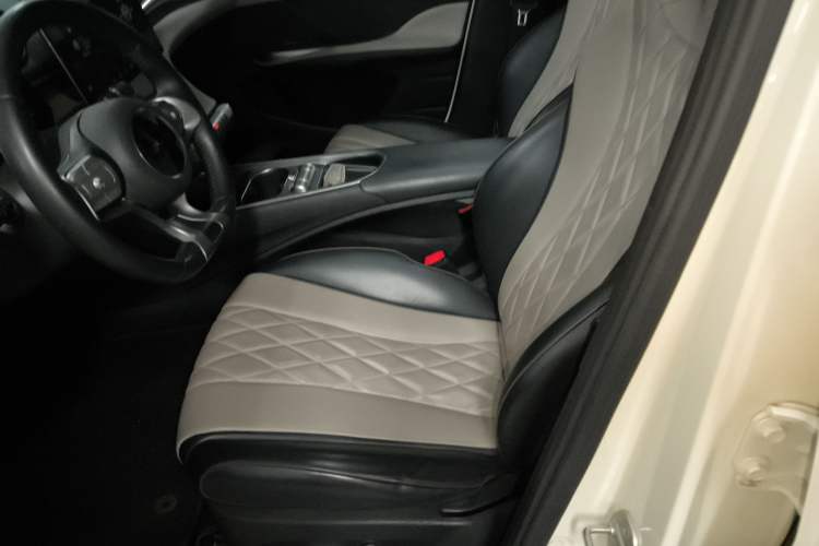 Used BYD Dolphin 2021 405 km Fashion Edition Left Front Seat