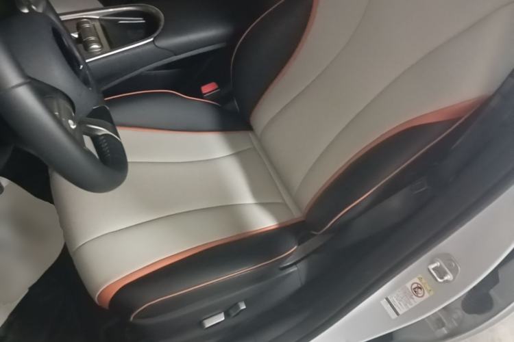 Used BYD Dolphin 2021 405 km Fashion Edition Left Front Seat