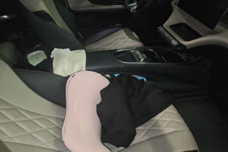 Used BYD Dolphin 2021 405 km Fashion Edition Left Front Seat