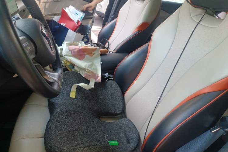 Used BYD Dolphin 2021 405 km Fashion Edition Left Front Seat