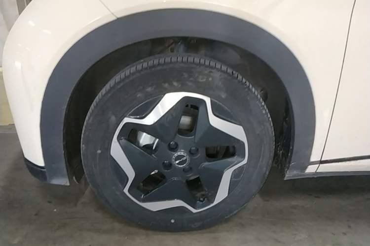 Used BYD Dolphin 2021 405 km Fashion Edition Left Front Wheel Hub