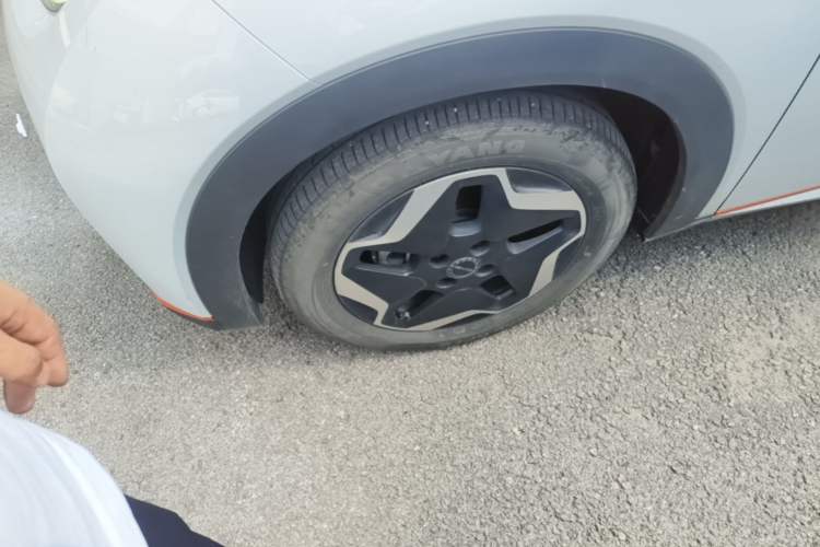 Used BYD Dolphin 2021 405 km Fashion Edition Left Front Wheel Hub