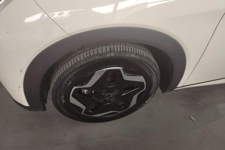 Used BYD Dolphin 2021 405 km Free Version Left Front Wheel Hub