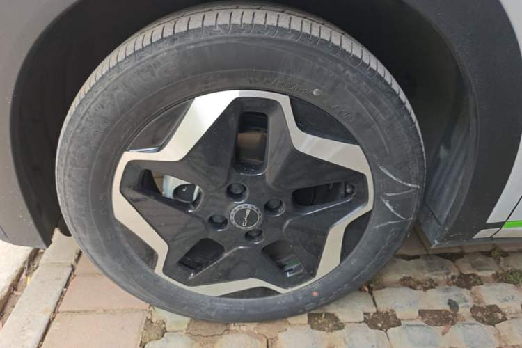 Used BYD Dolphin 2021 405 km Fashion Edition Left Front Wheel Hub