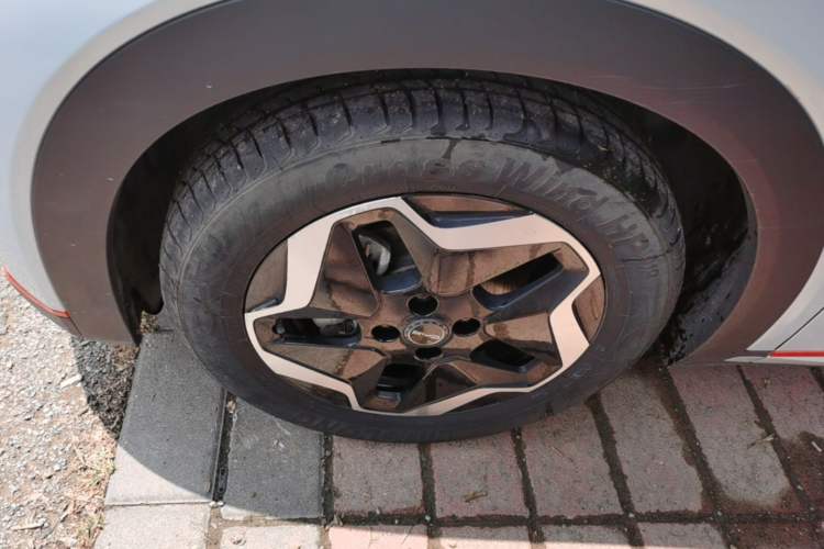 Used BYD Dolphin 2021 405 km Free Version Left Front Wheel Hub