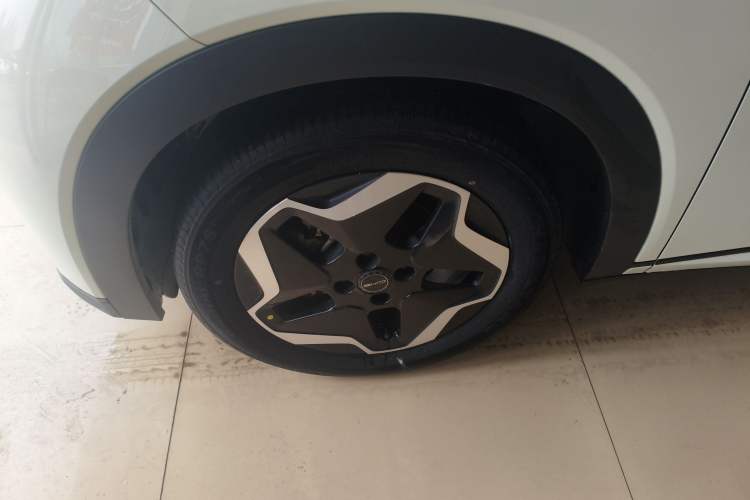 Used BYD Dolphin 2021 405 km Fashion Edition Left Front Wheel Hub