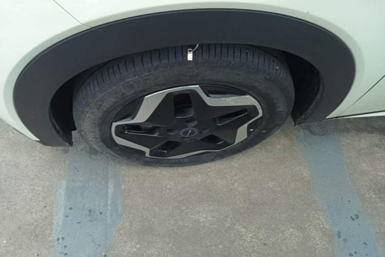 Used BYD Dolphin 2021 405 km Fashion Edition Left Front Wheel Hub