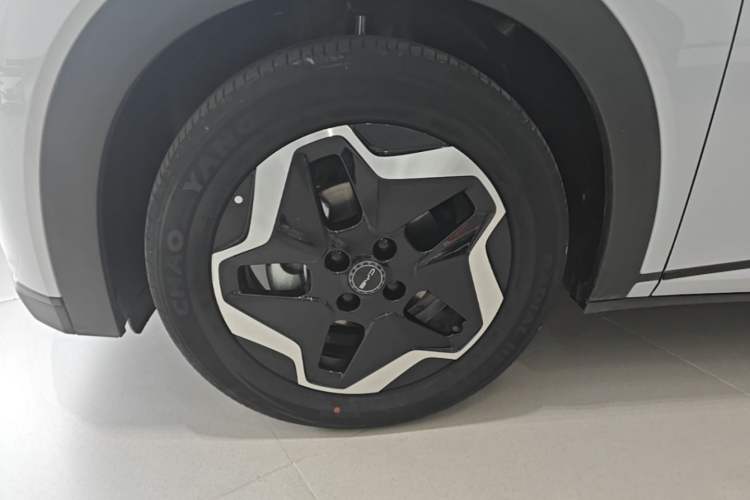 Used BYD Dolphin 2021 405 km Free Version Left Front Wheel Hub