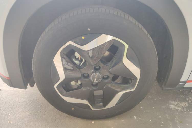 Used BYD Dolphin 2021 405 km Free Version Left Front Wheel Hub