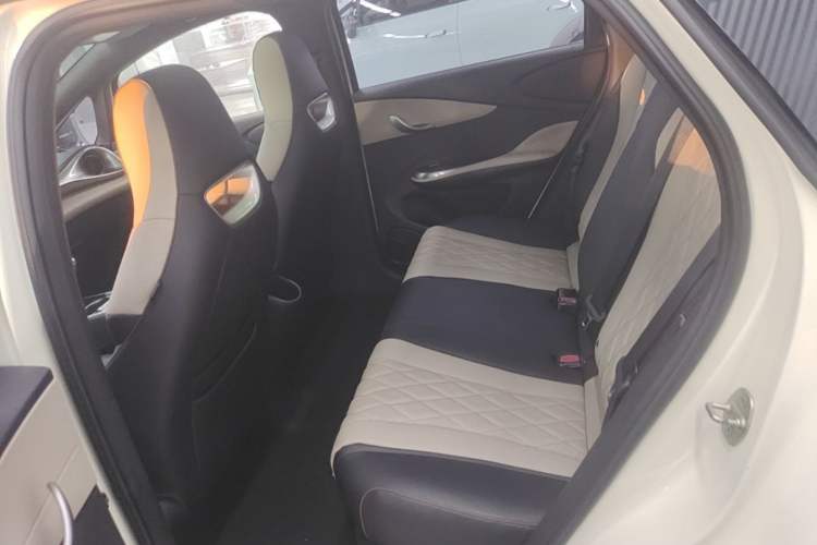 Used BYD Dolphin 2021 405 km Fashion Edition Left Rear Seat
