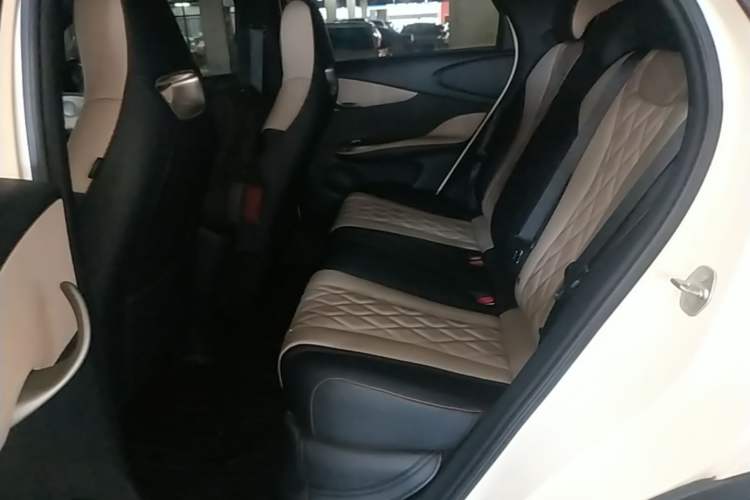 Used BYD Dolphin 2021 405 km Fashion Edition Left Rear Seat