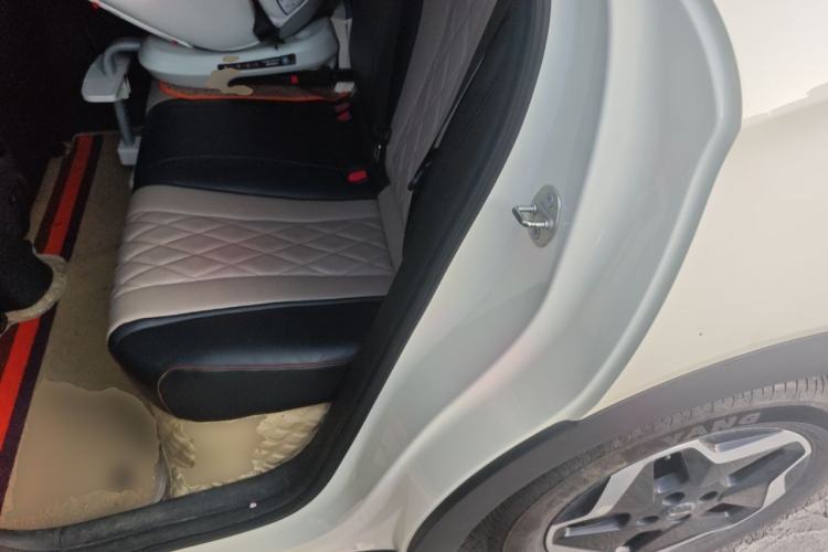 Used BYD Dolphin 2021 405 km Fashion Edition Left Rear Seat