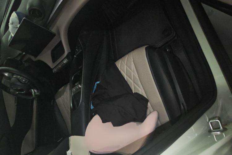 Used BYD Dolphin 2021 405 km Fashion Edition Left Rear Seat