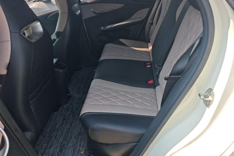 Used BYD Dolphin 2021 405 km Fashion Edition Left Rear Seat