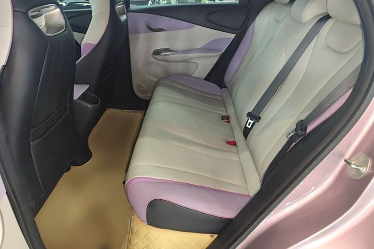Used BYD Dolphin 2021 405 km Fashion Edition Left Rear Seat