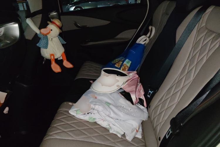 Used BYD Dolphin 2021 405 km Fashion Edition Left Rear Seat