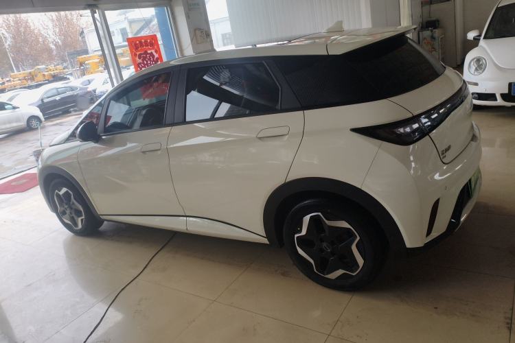 Used BYD Dolphin 2021 405 km Fashion Edition Left Side