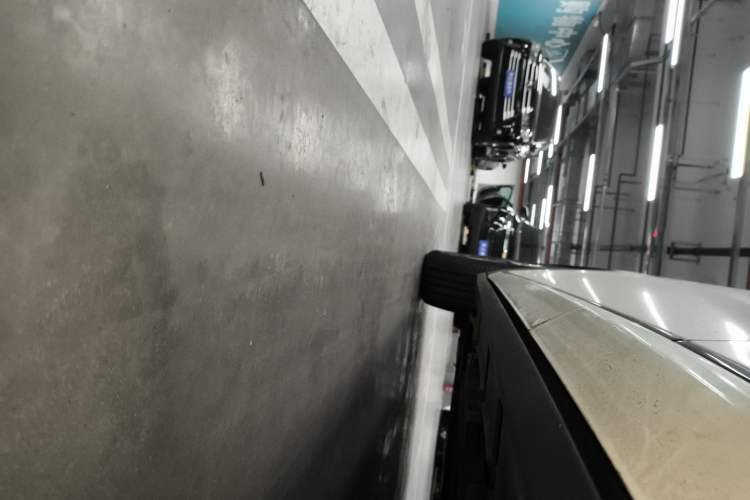 Used BYD Dolphin 2021 405 km Fashion Edition Left Side Sill