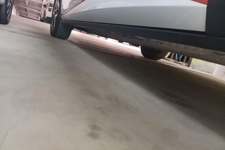 Used BYD Dolphin 2021 405 km Fashion Edition Left Side Sill