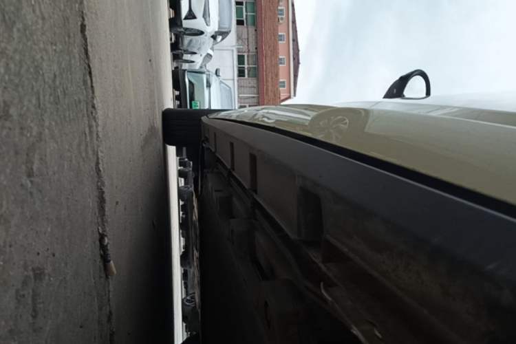 Used BYD Dolphin 2021 405 km Fashion Edition Left Side Sill