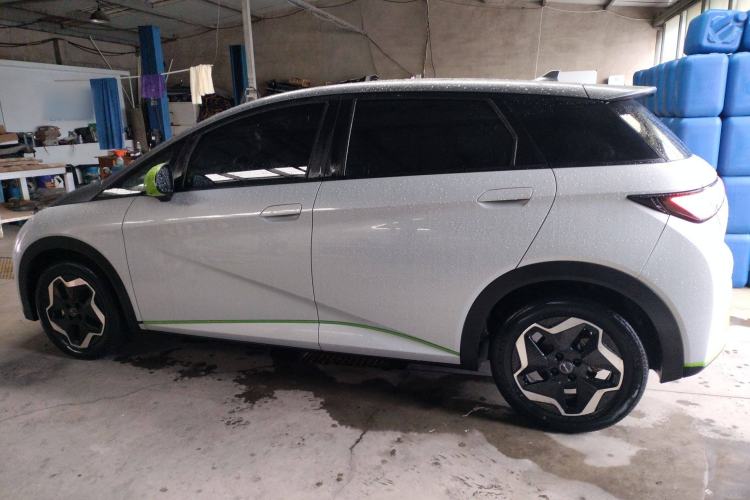 Used BYD Dolphin 2021 405 km Free Version Left Side