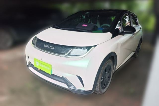 Used BYD Dolphin 2021 405 km Free Version