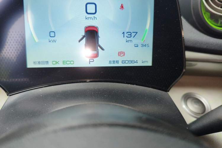 Used BYD Dolphin 2021 405 km Free Version Odometer Close Up
