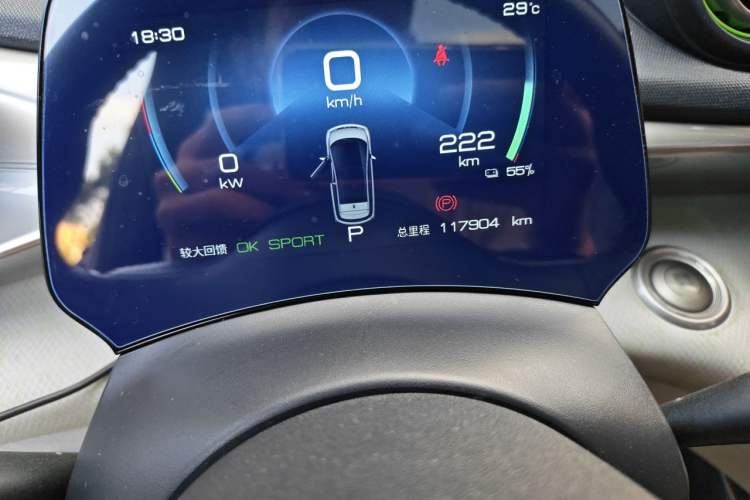 Used BYD Dolphin 2021 405 km Fashion Edition Odometer Close Up