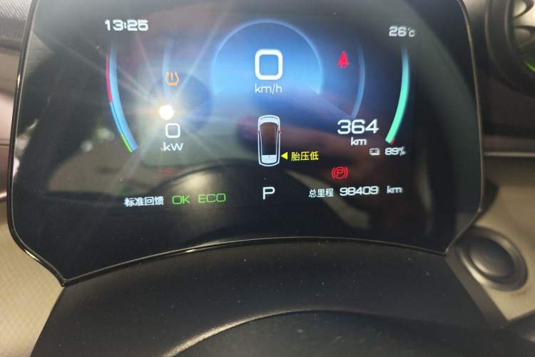 Used BYD Dolphin 2021 405 km Free Version Odometer Close Up