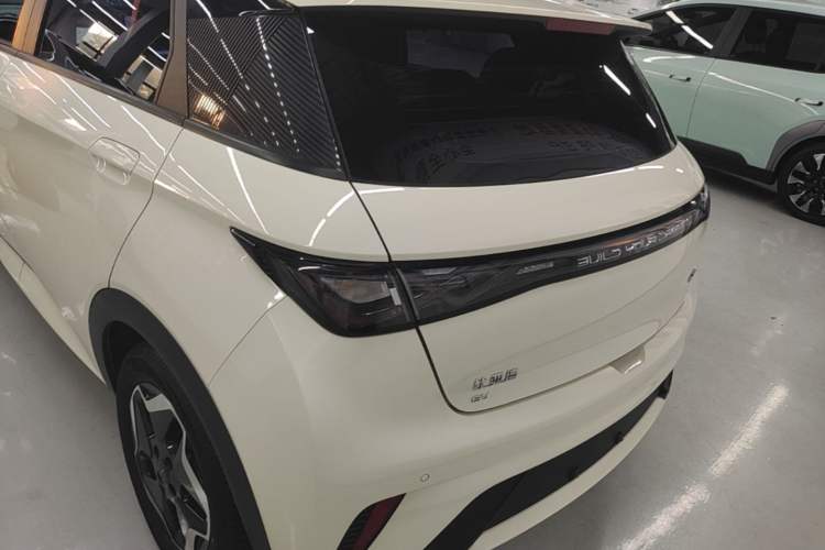 Used BYD Dolphin 2021 405 km Fashion Edition Rear