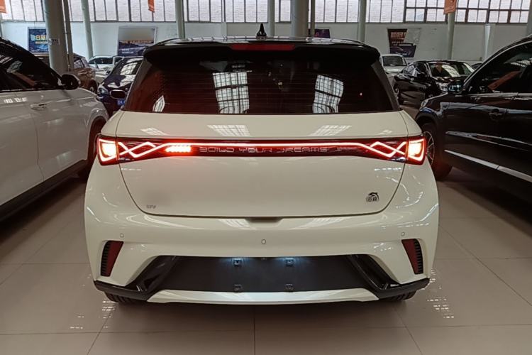 Used BYD Dolphin 2021 405 km Fashion Edition Rear