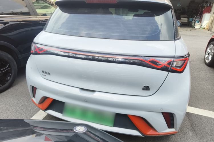 Used BYD Dolphin 2021 405 km Fashion Edition Rear