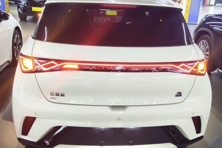 Used BYD Dolphin 2021 405 km Fashion Edition Rear