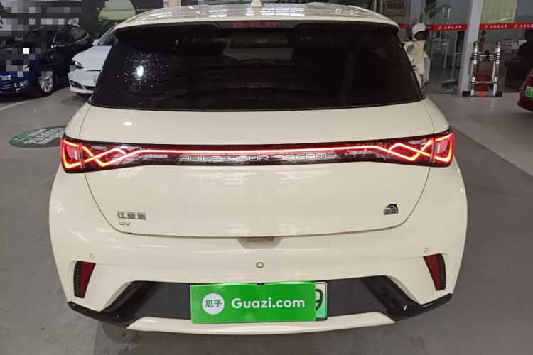 Used BYD Dolphin 2021 405 km Free Version Rear
