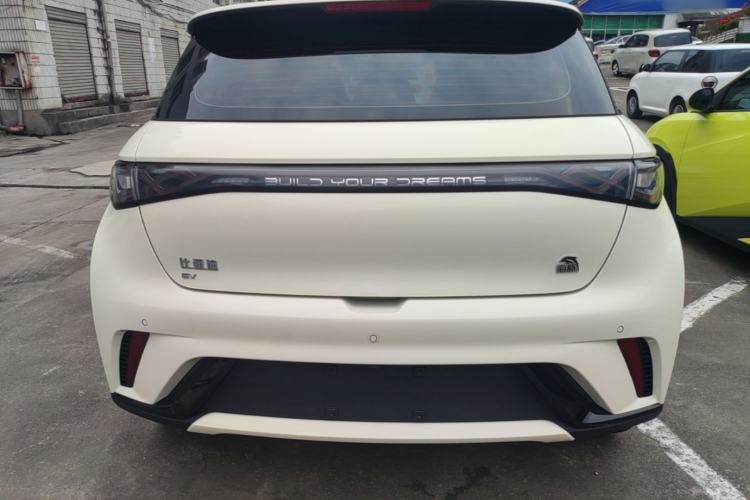 Used BYD Dolphin 2021 405 km Fashion Edition Rear