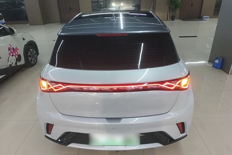 Used BYD Dolphin 2021 405 km Fashion Edition Rear