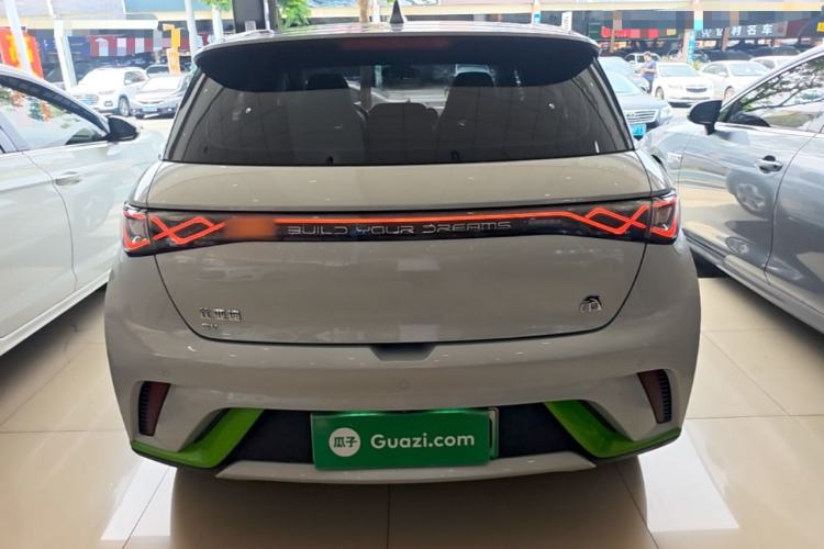Used BYD Dolphin 2021 405 km Fashion Edition Rear