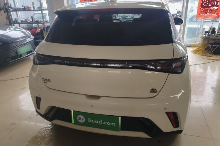 Used BYD Dolphin 2021 405 km Fashion Edition Rear