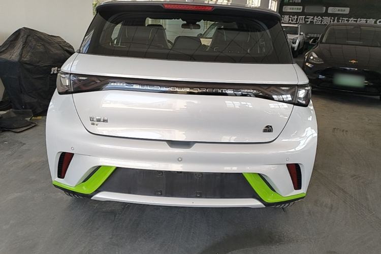 Used BYD Dolphin 2021 405 km Fashion Edition Rear