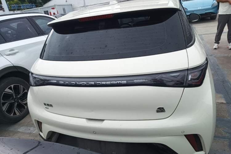 Used BYD Dolphin 2021 405 km Fashion Edition Rear