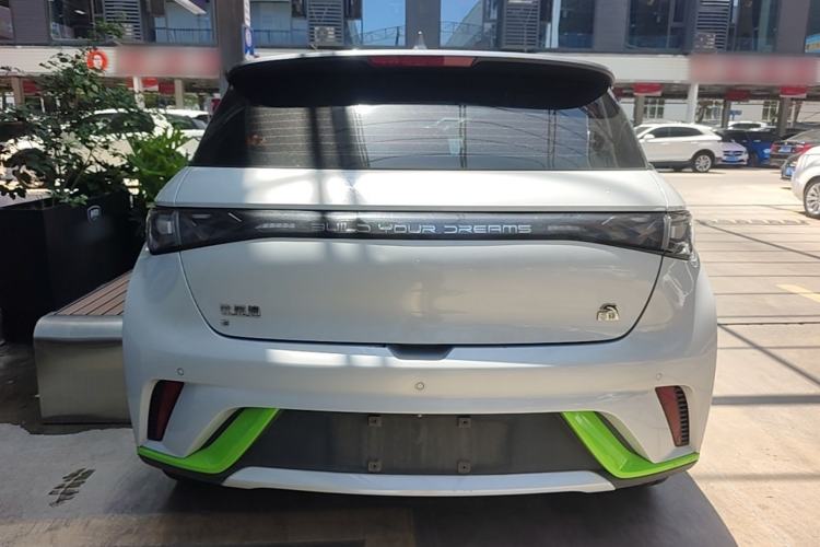 Used BYD Dolphin 2021 405 km Free Version Rear