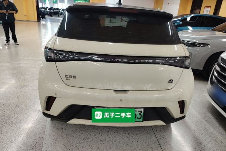 Used BYD Dolphin 2021 405 km Fashion Edition Rear