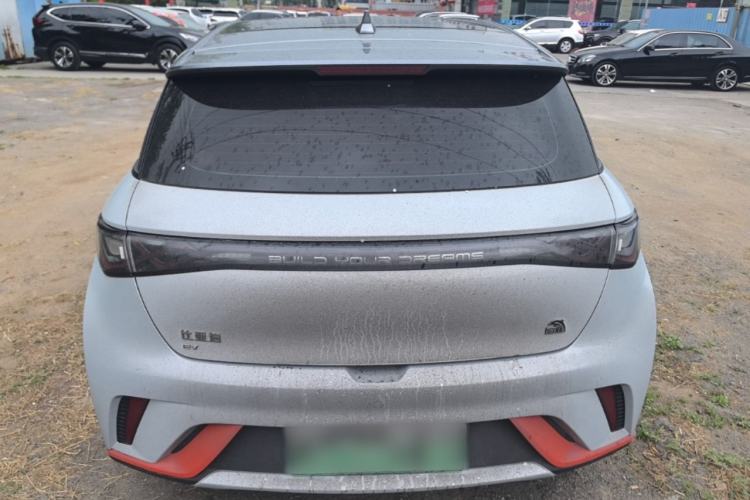 Used BYD Dolphin 2021 405 km Fashion Edition Rear