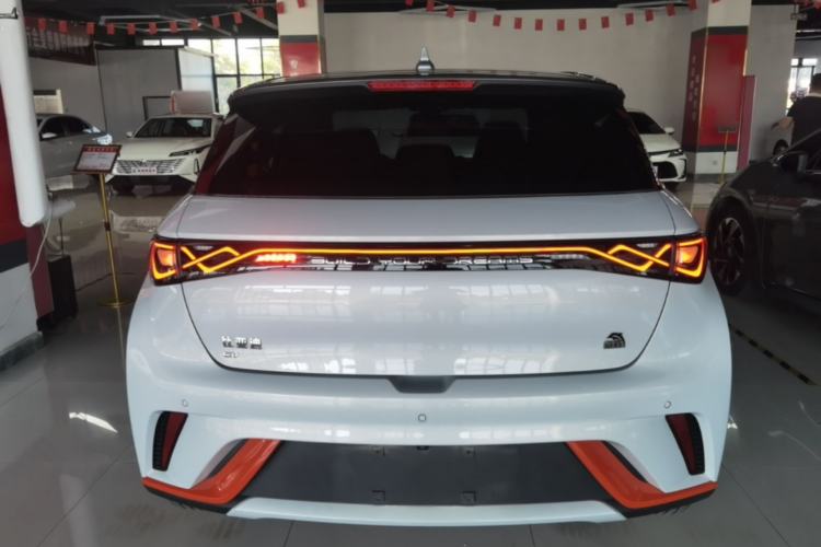 Used BYD Dolphin 2021 405 km Fashion Edition Rear