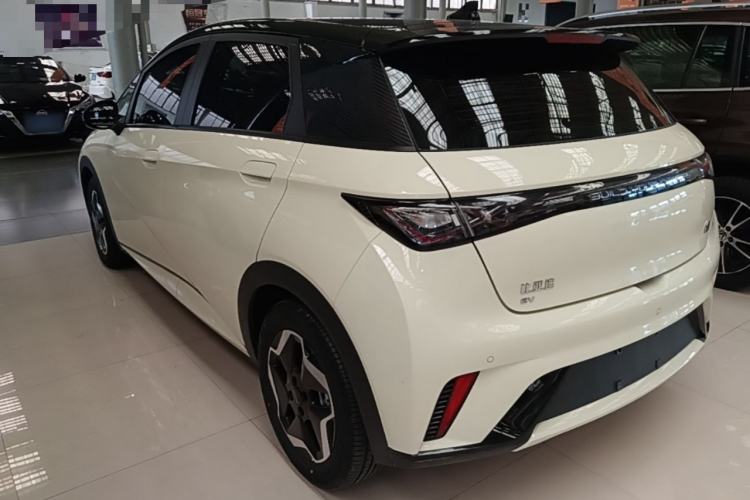 Used BYD Dolphin 2021 405 km Fashion Edition Rear Left 45 Deg
