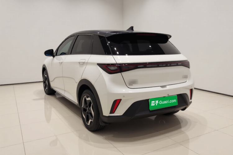 Used BYD Dolphin 2021 405 km Free Version Rear Left 45 Deg