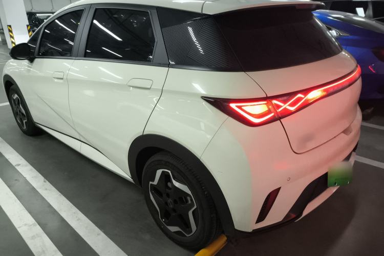 Used BYD Dolphin 2021 405 km Fashion Edition Rear Left 45 Deg