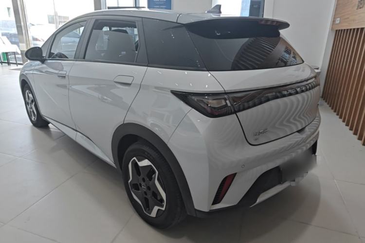 Used BYD Dolphin 2021 405 km Free Version Rear Left 45 Deg