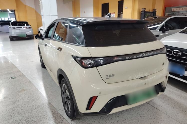 Used BYD Dolphin 2021 405 km Fashion Edition Rear Left 45 Deg