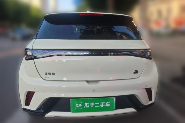 Used BYD Dolphin 2021 405 km Fashion Edition Rear